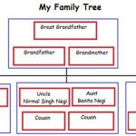 family tree